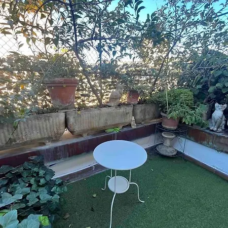 Monolocale In Centro Con Terrazzo 아파트 *