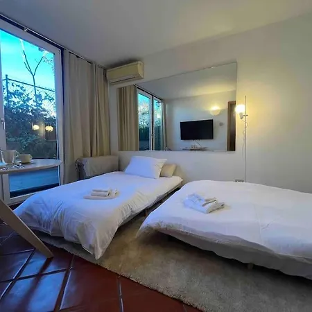 Monolocale In Centro Con Terrazzo *